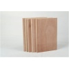 Okoume Plywood